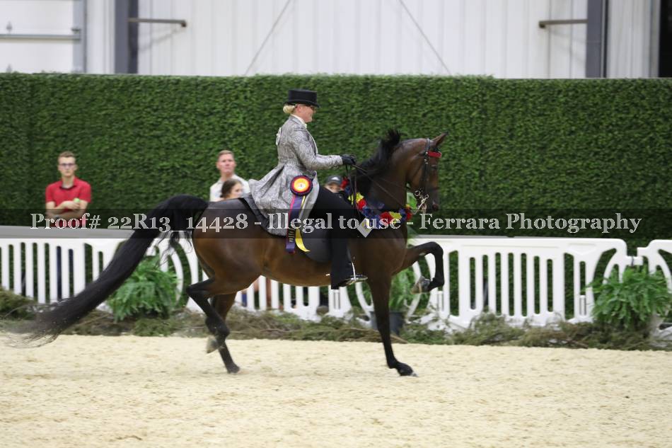 Proof 22R13_14428
