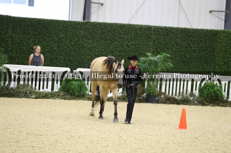 Proof 22R13_14431