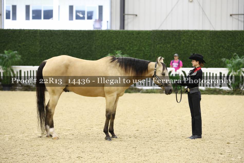 Proof 22R13_14436