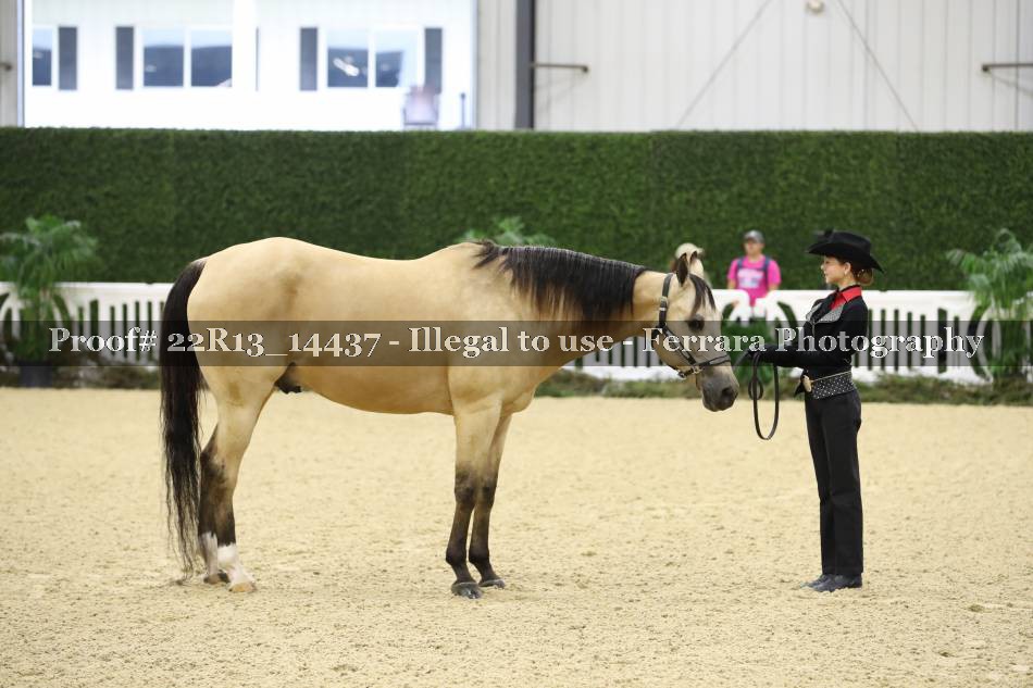 Proof 22R13_14437