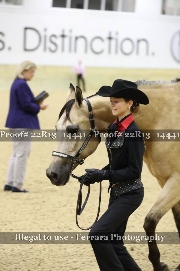 Proof 22R13_14441