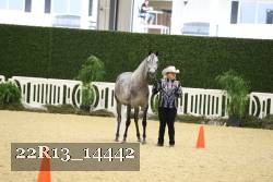 22R13_14442 proof