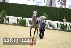 22R13_14443 proof