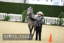 22R13_14445 proof