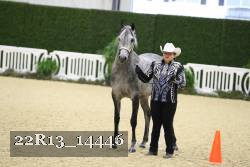 22R13_14446 proof