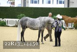 22R13_14450 proof
