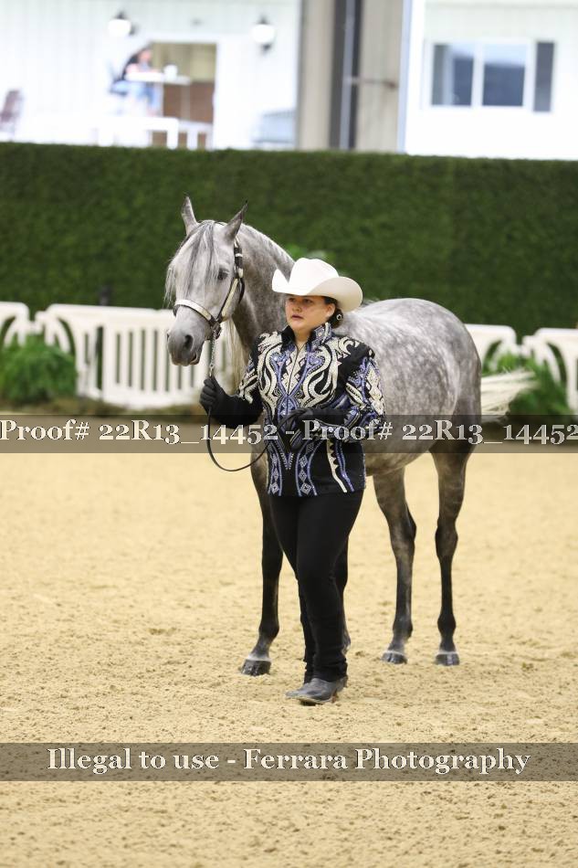Proof 22R13_14452