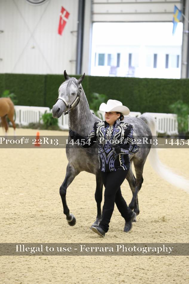Proof 22R13_14454