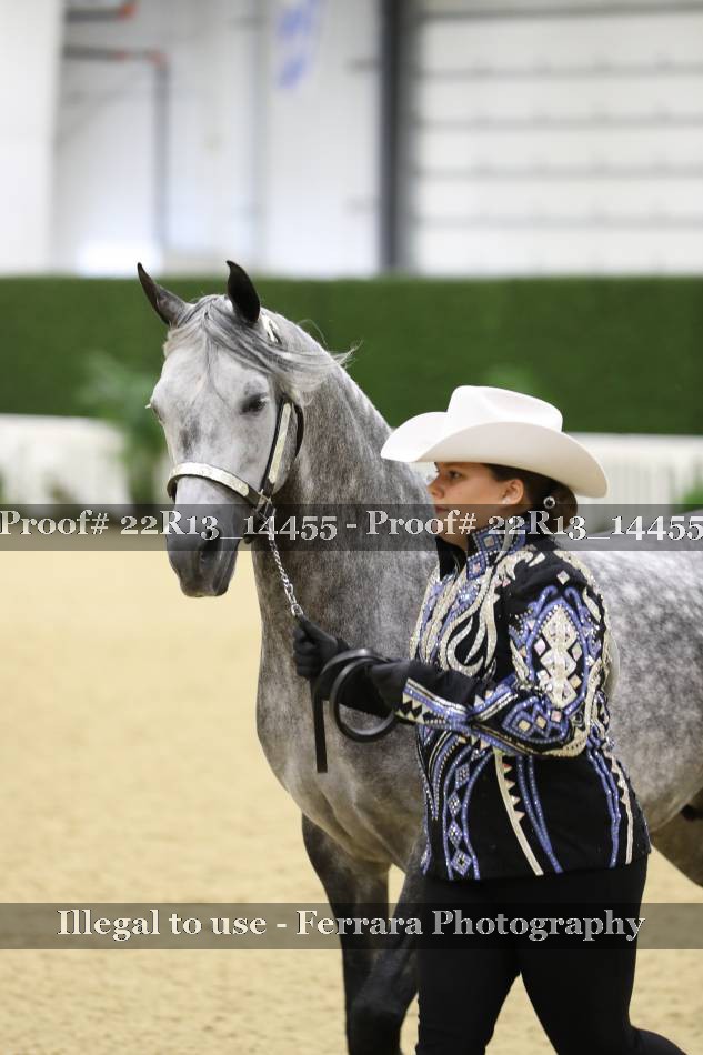 Proof 22R13_14455