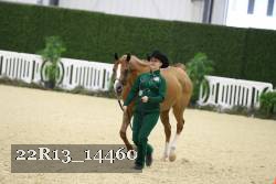 22R13_14460 proof