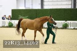 22R13_14462 proof