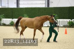 22R13_14463 proof