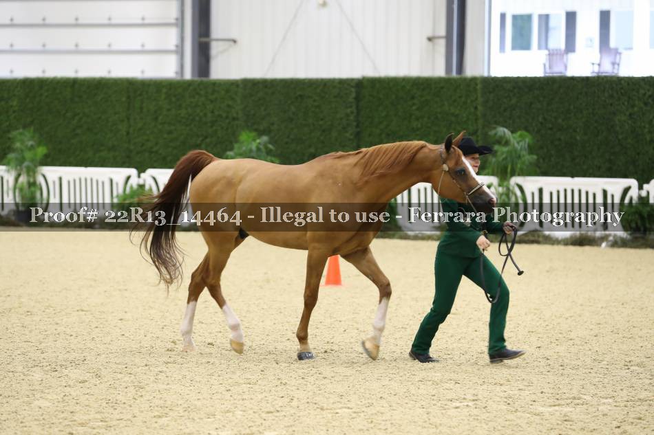 Proof 22R13_14464