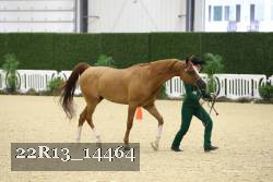 22R13_14464 proof