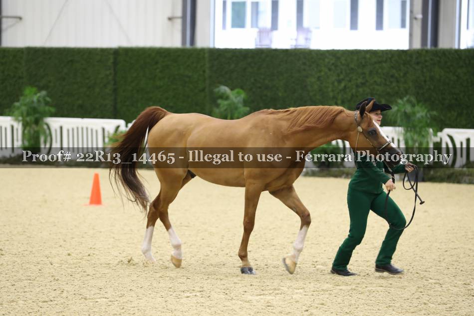 Proof 22R13_14465