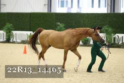 22R13_14465 proof