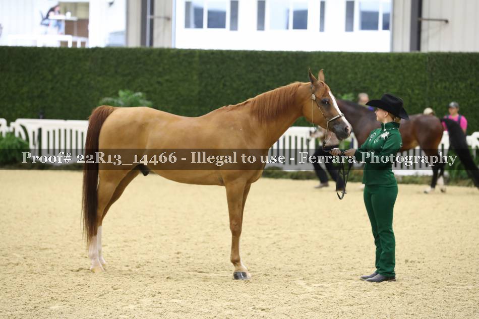 Proof 22R13_14466