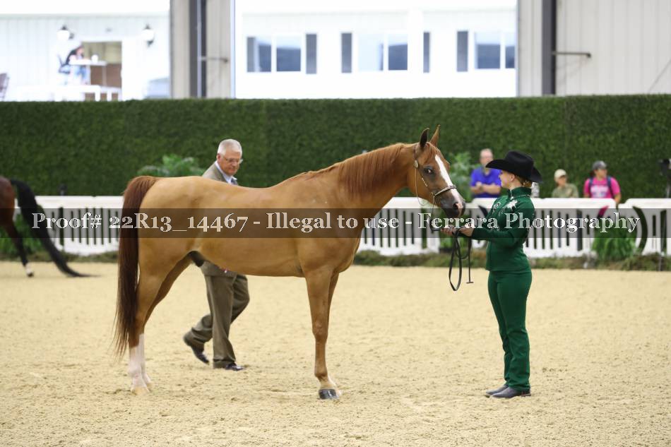 Proof 22R13_14467