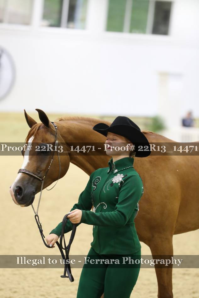 Proof 22R13_14471