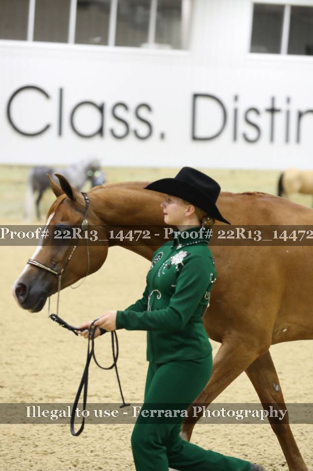 Proof 22R13_14472