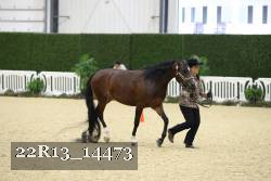 22R13_14473 proof