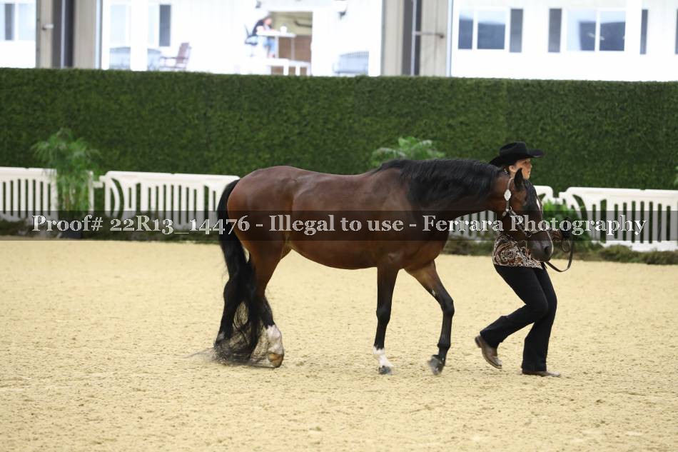 Proof 22R13_14476