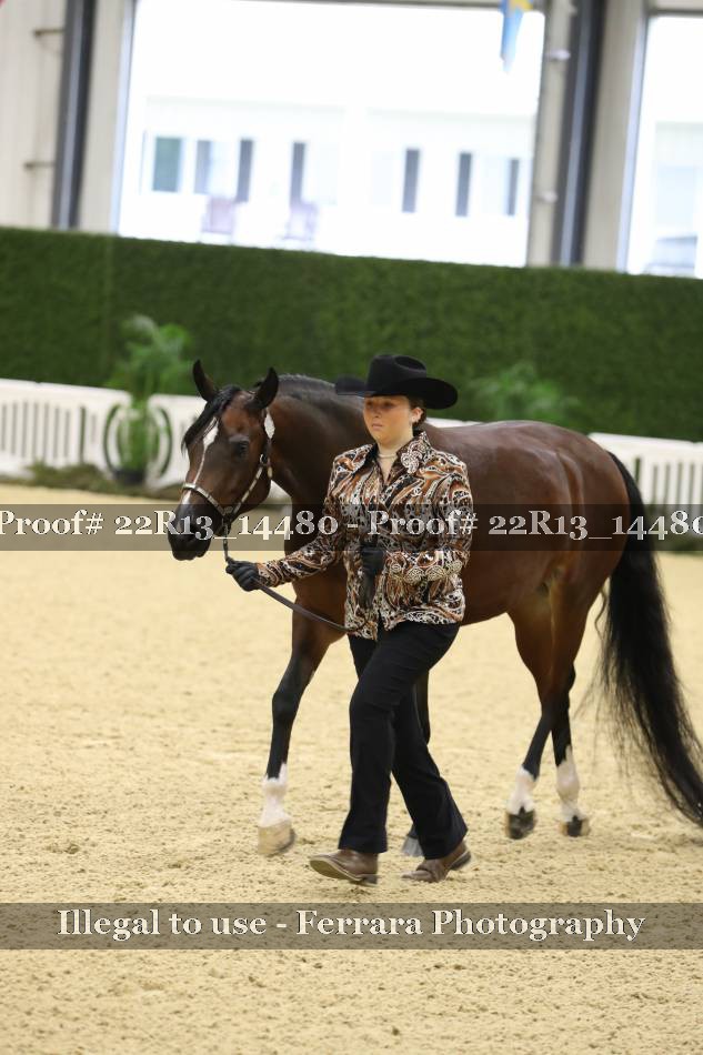 Proof 22R13_14480