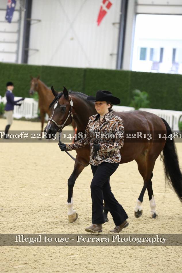 Proof 22R13_14481