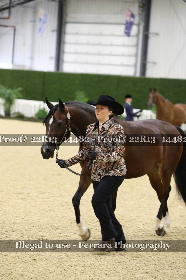 Proof 22R13_14482