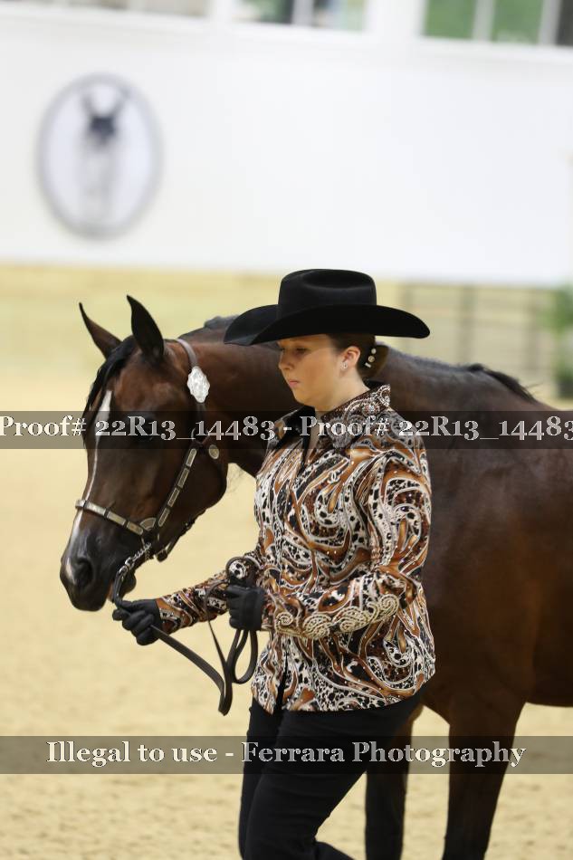Proof 22R13_14483