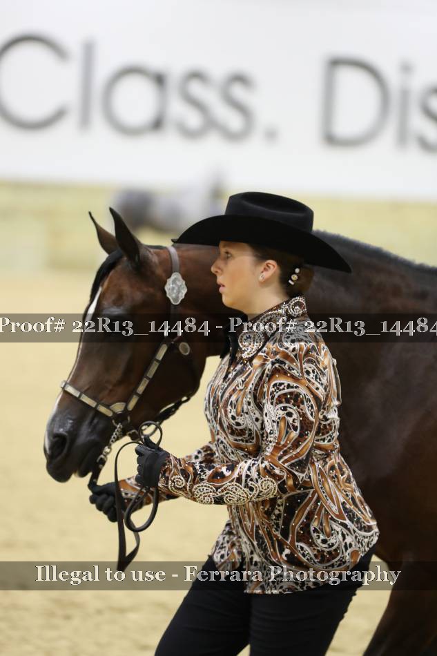 Proof 22R13_14484