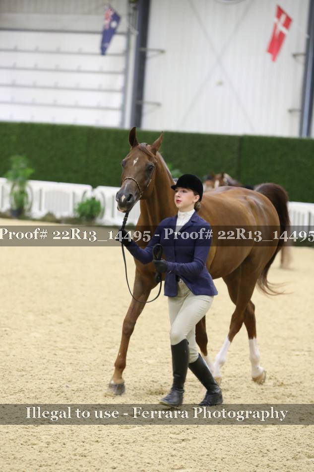 Proof 22R13_14495