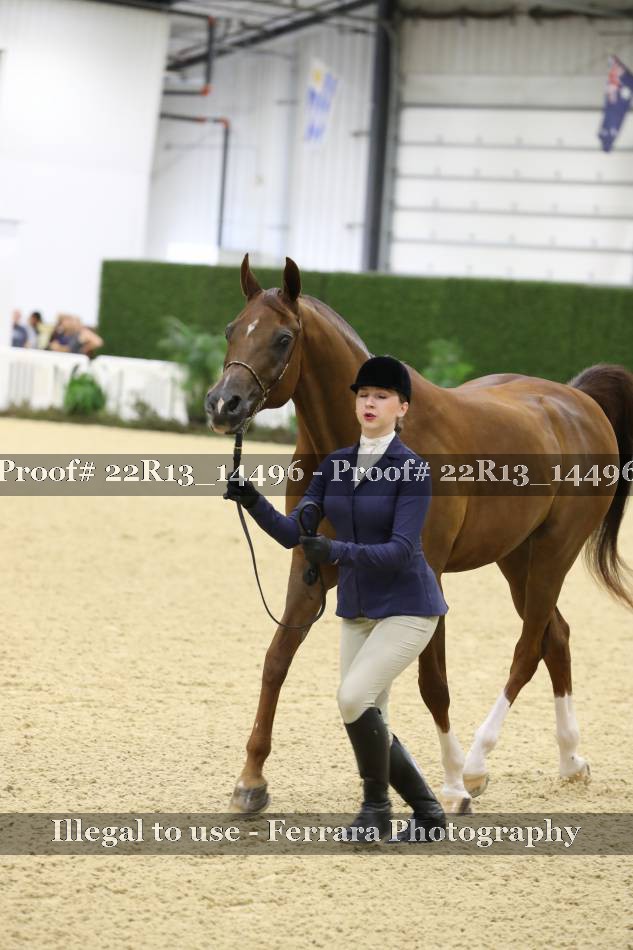 Proof 22R13_14496