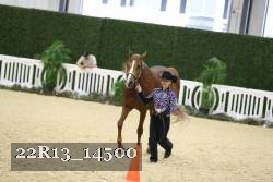 22R13_14500 proof