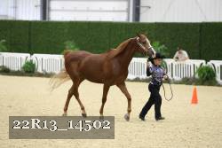 22R13_14502 proof