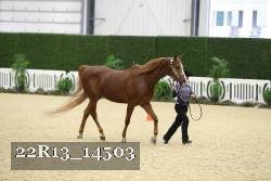 22R13_14503 proof