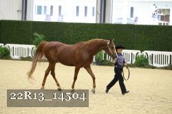 22R13_14504 proof