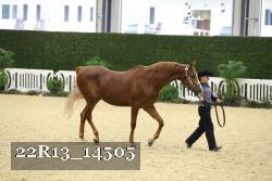 22R13_14505 proof