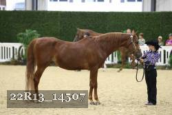 22R13_14507 proof