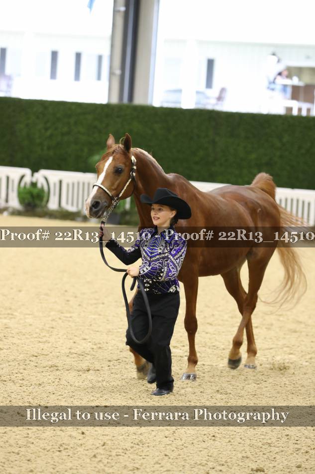 Proof 22R13_14510