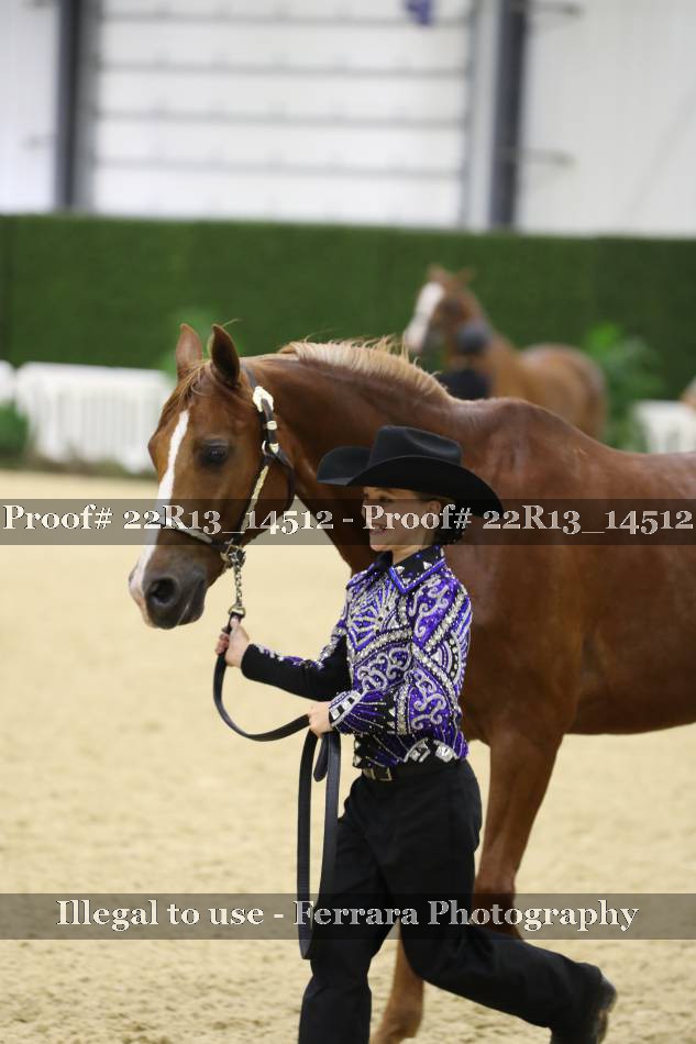 Proof 22R13_14512
