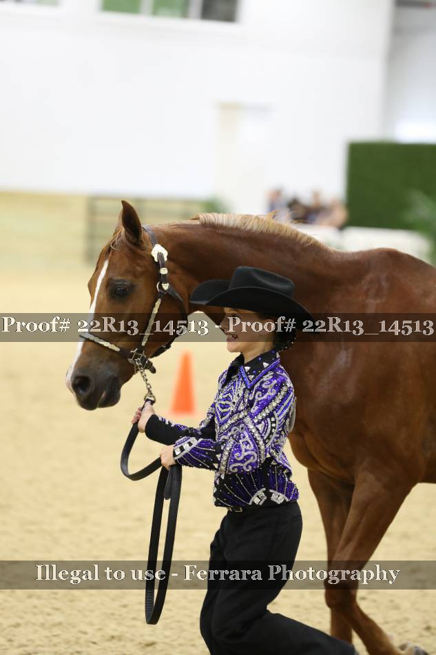Proof 22R13_14513