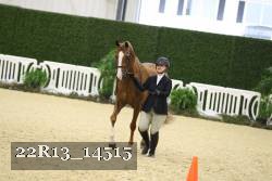 22R13_14515 proof