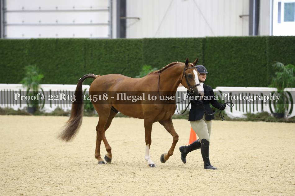 Proof 22R13_14518