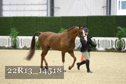 22R13_14518 proof