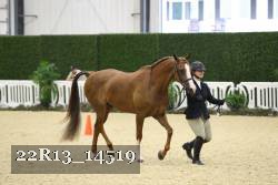 22R13_14519 proof