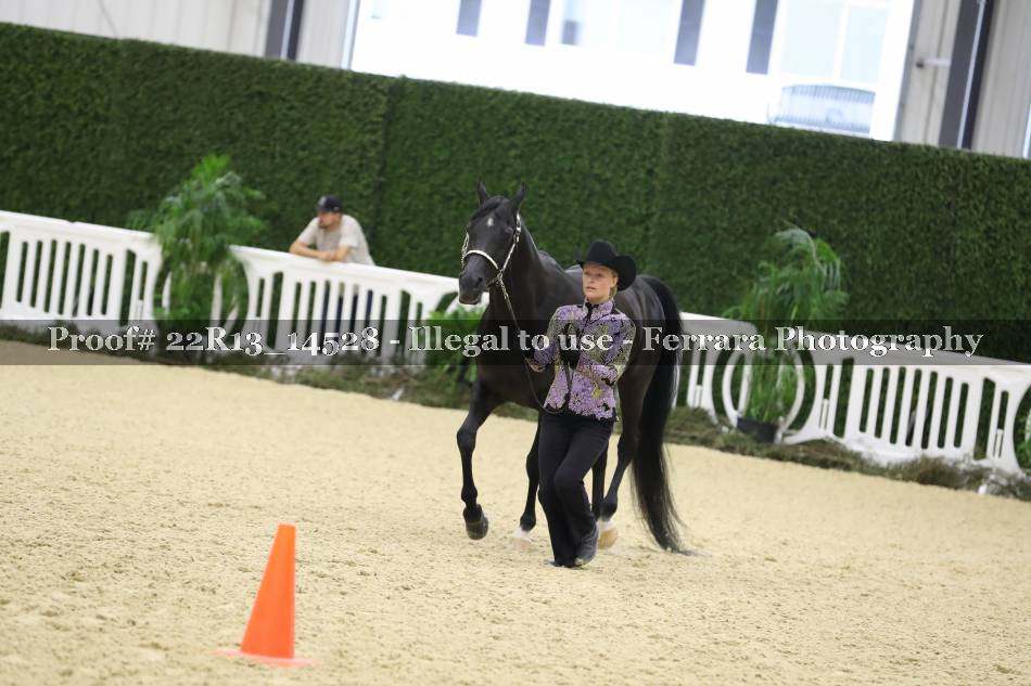 Proof 22R13_14528
