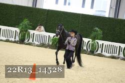 22R13_14528 proof