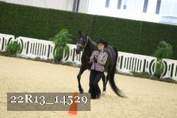 22R13_14529 proof