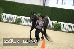 22R13_14530 proof